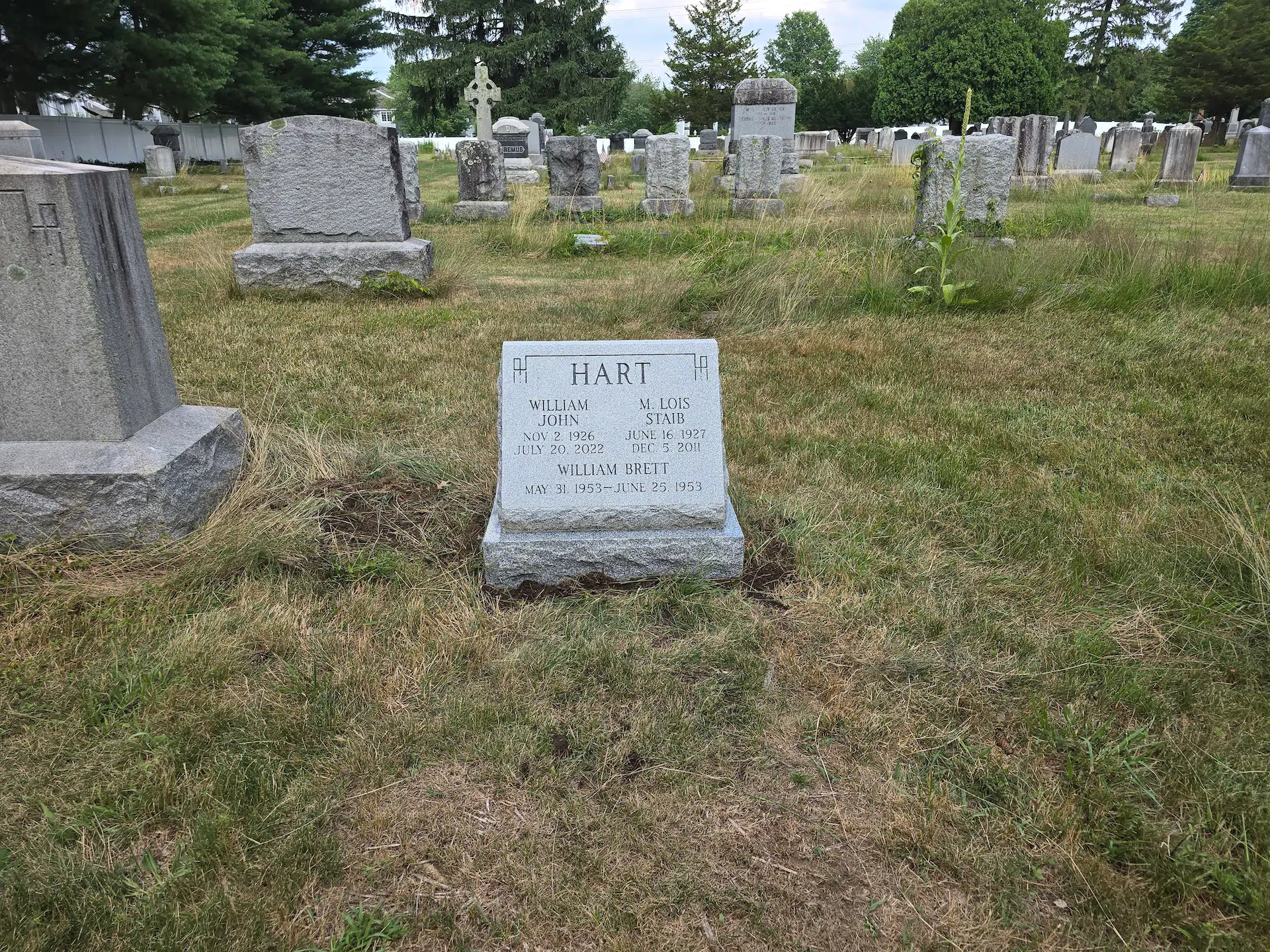 Granite Monument Company hand-carved by NJ Monument Company in NJ — image 3